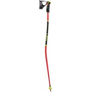 Leki Sjezdové hole  WCR Lite GS 3D