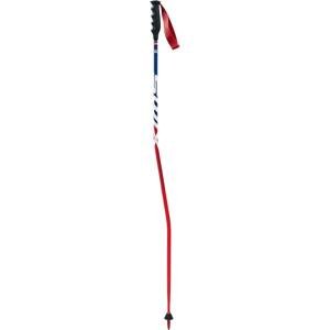 Swix Lyžařské hole  SGC, IPM Carbon Composite