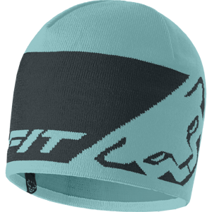 Dynafit Leopard Logo Beanie UNI58 tyrkysová
