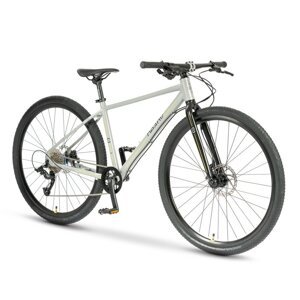 Beany Zero 29 (17") 2024 17" šedá