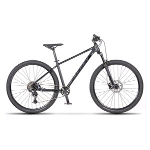 Beany Blaster 29 (19") 2024 19" černá