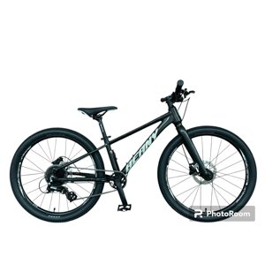 Beany Blaster XC 20 2024 10 černá