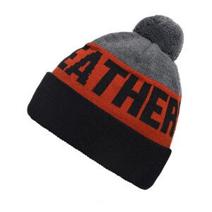 Horsefeathers Royce beanie  multicolor
