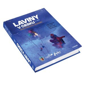 Laviny v česku